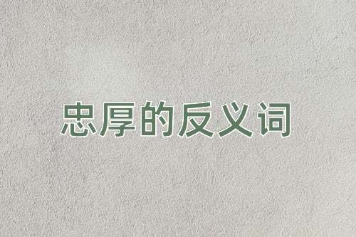 忠厚的反义词