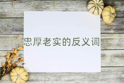 忠厚老实的反义词