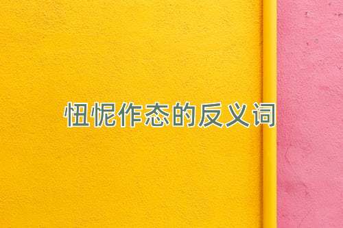 忸怩作态的反义词