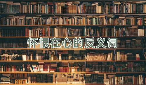怀恨在心的反义词