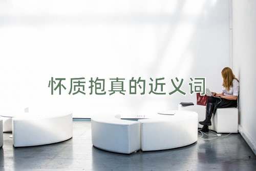 怀质抱真的近义词