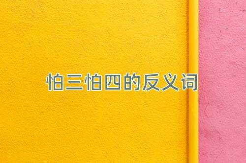 怕三怕四的反义词