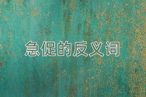 急促的反义词