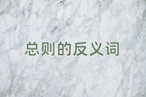 总则的反义词