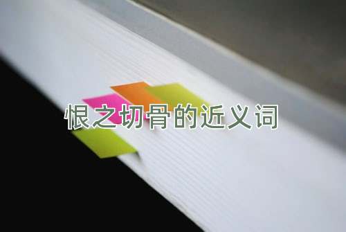 恨之切骨的近义词