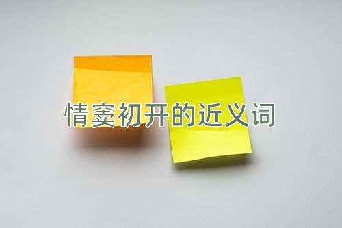 情窦初开的近义词