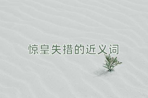 惊皇失措的近义词