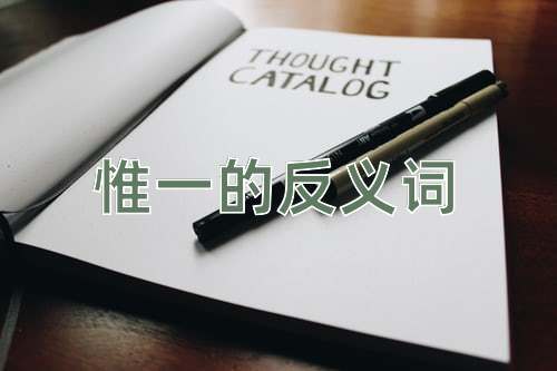 惟一的反义词