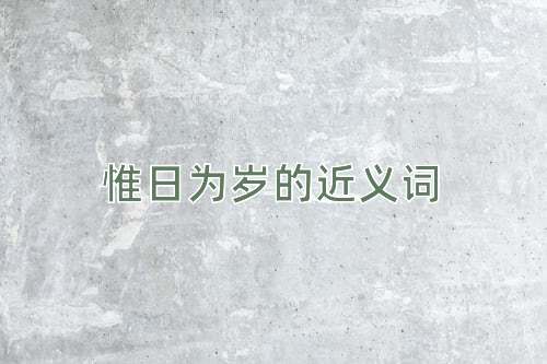 惟日为岁的近义词