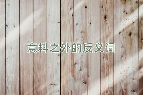 意料之外的反义词