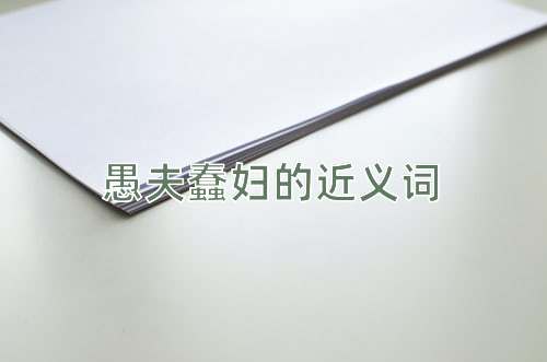 愚夫蠢妇的近义词