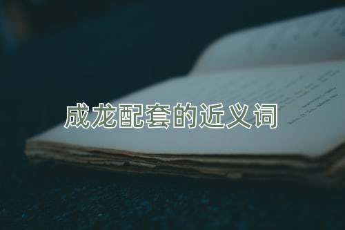 成龙配套的近义词