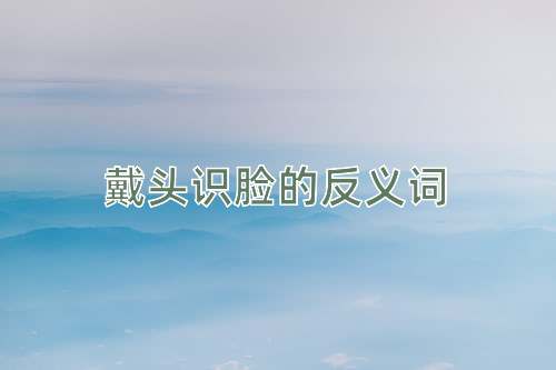 戴头识脸的反义词