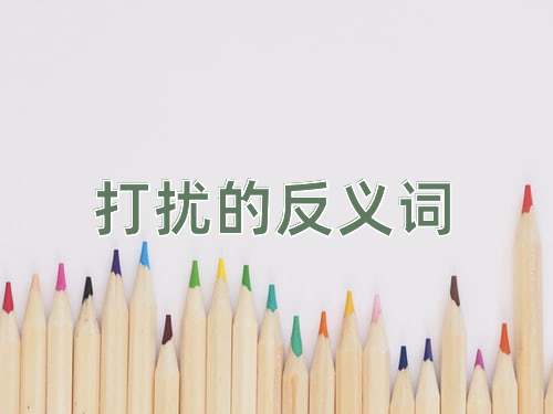 打扰的反义词