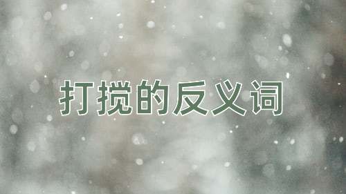 打搅的反义词