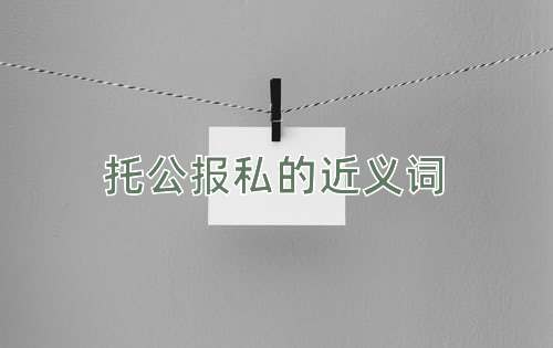 托公报私的近义词