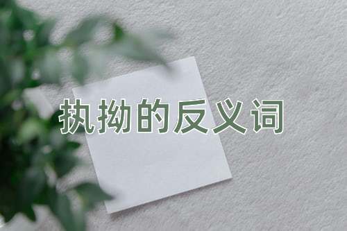 执拗的反义词