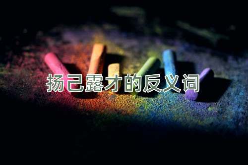扬己露才的反义词