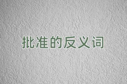 批准的反义词