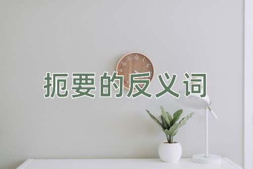 扼要的反义词