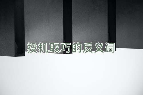 投机取巧的反义词