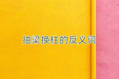 抽梁换柱的反义词