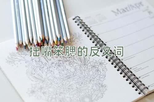 拙嘴笨腮的反义词