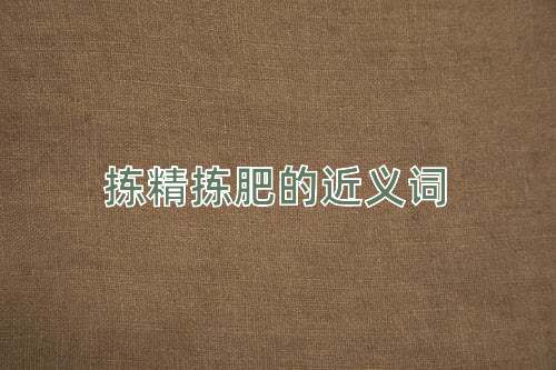拣精拣肥的近义词