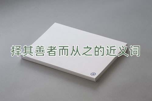 择其善者而从之的近义词