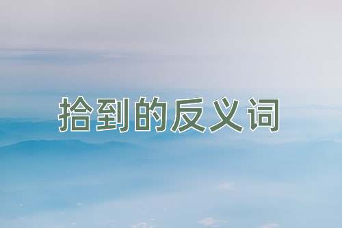 拾到的反义词