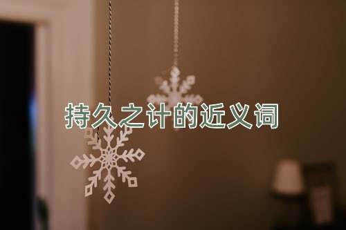 持久之计的近义词