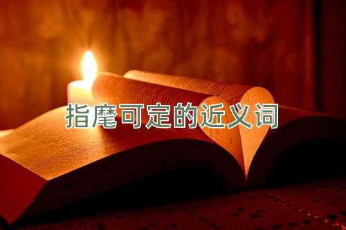 指麾可定的近义词