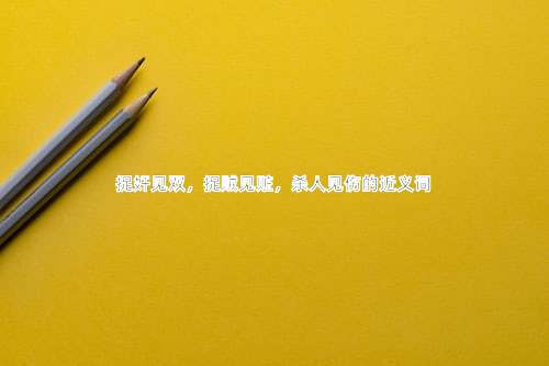 捉奸见双，捉贼见赃，杀人见伤的近义词