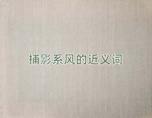 捕影系风的近义词
