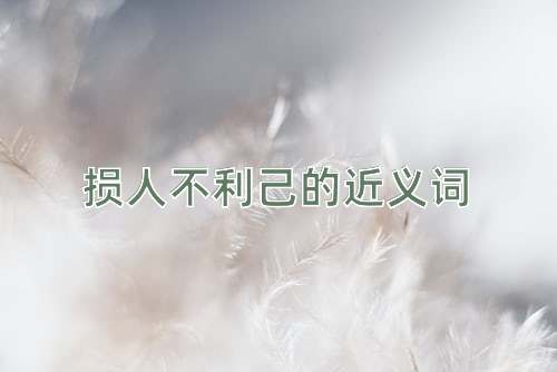 损人不利己的近义词