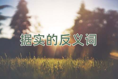 据实的反义词