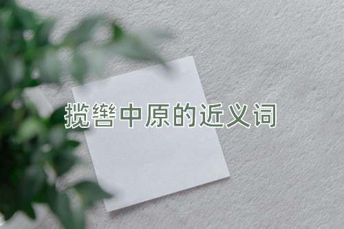 揽辔中原的近义词