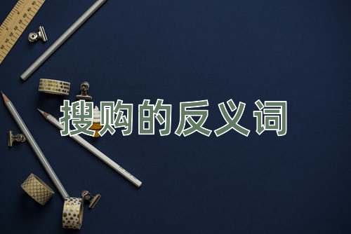 搜购的反义词