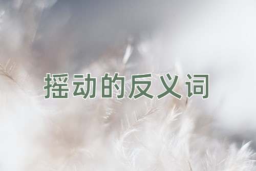 摇动的反义词