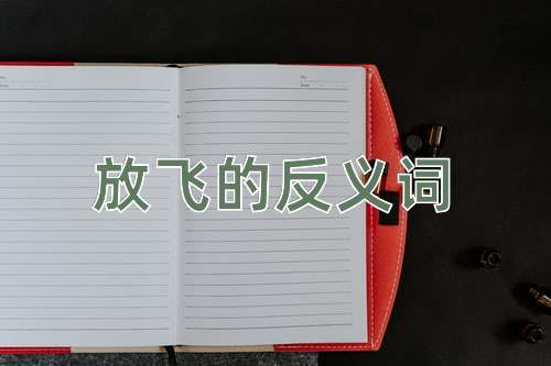 放飞的反义词