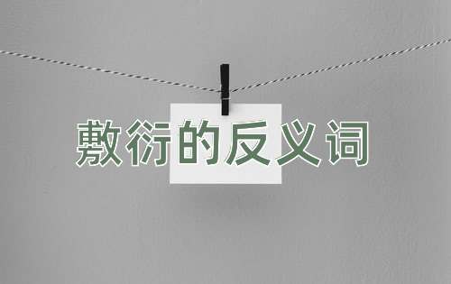 敷衍的反义词