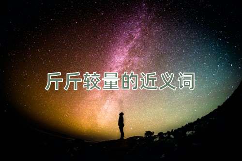 斤斤较量的近义词