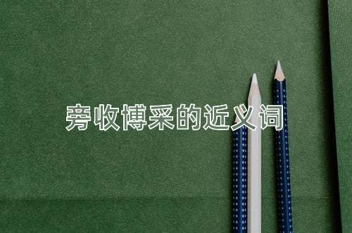 旁收博采的近义词
