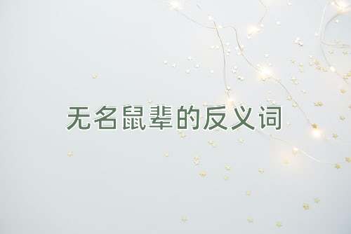 无名鼠辈的反义词
