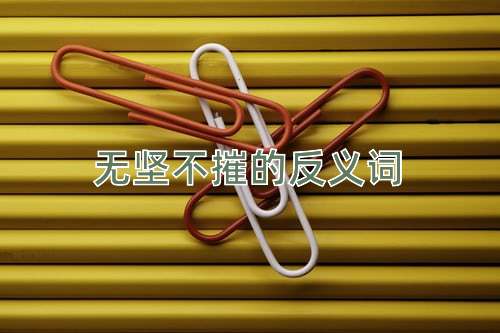 无坚不摧的反义词