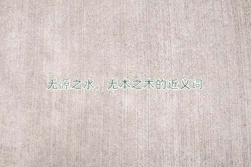 无源之水，无本之木的近义词