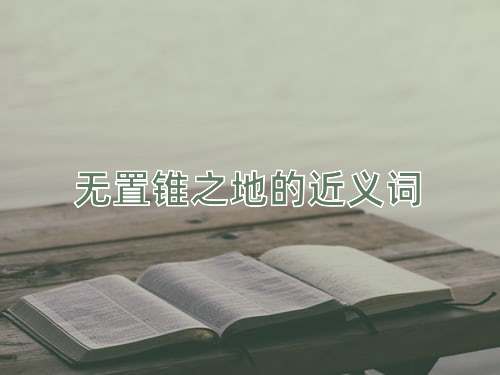 无置锥之地的近义词