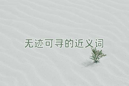 无迹可寻的近义词