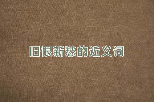 旧恨新愁的近义词