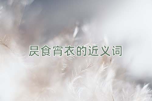 昃食宵衣的近义词